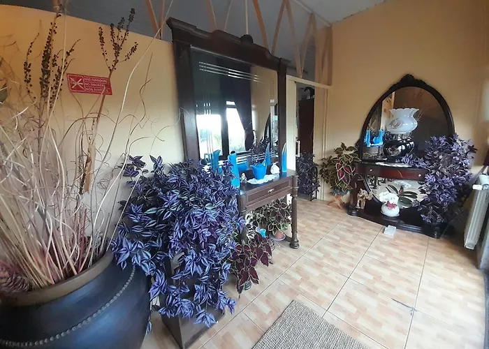 Cantinho Davo 3* Campea